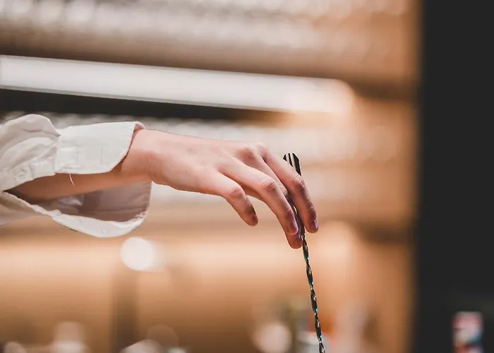 维索布恩酒店 酒店 4*